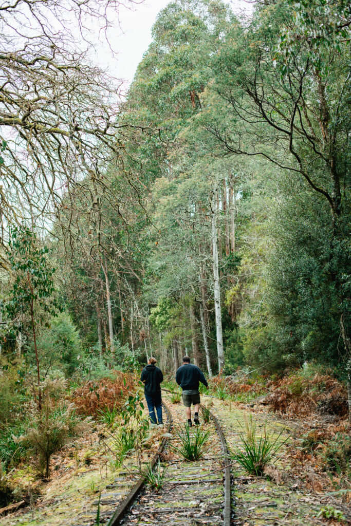 Rail Trail Tyenna Mount Field National Park