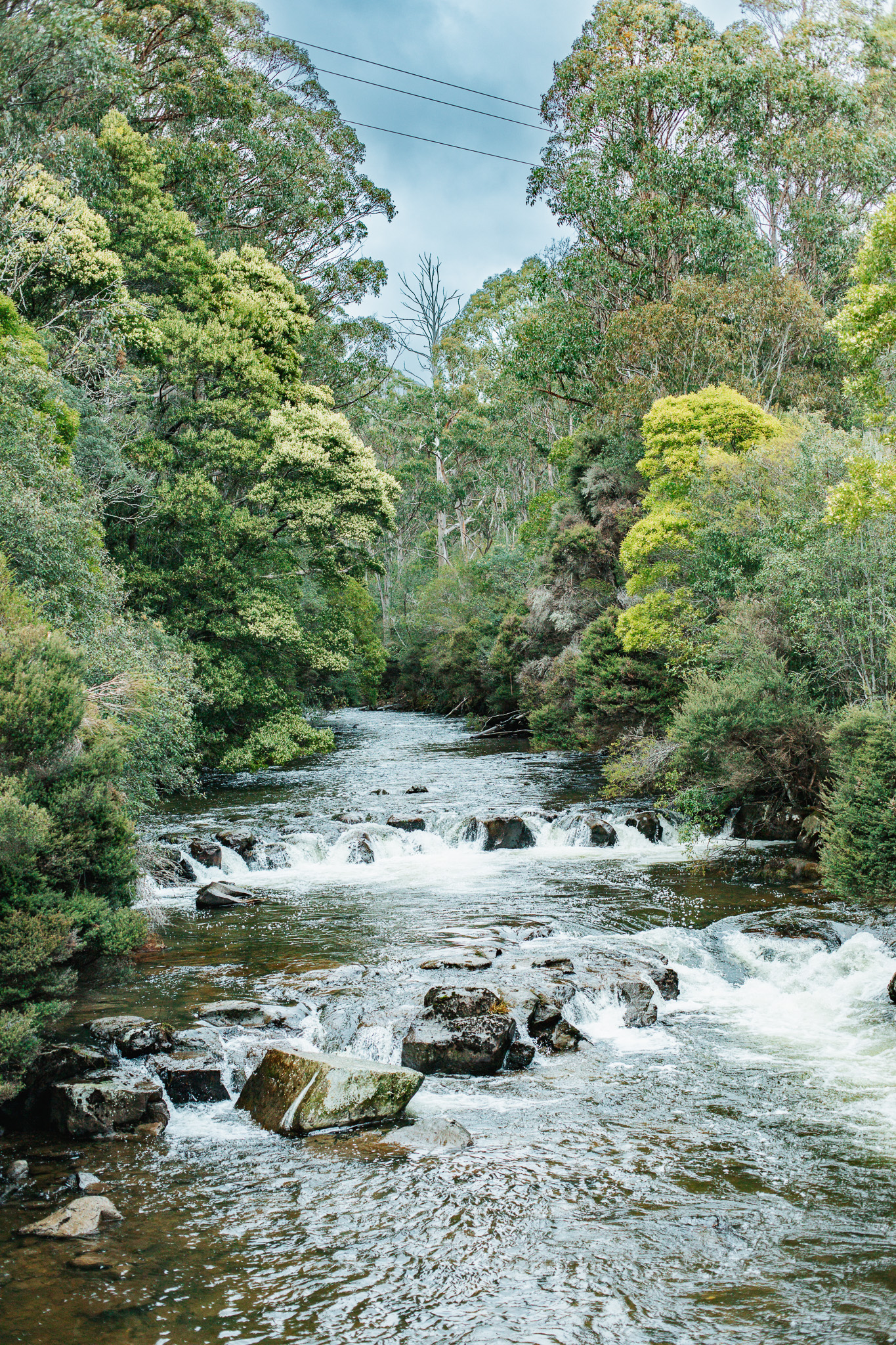 Tyenna River Accommodation